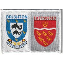 Scout Double Badge UK East Sussex/Brighton - White Back - Used (M150)