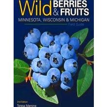 Wild Berries Fruits Identification Guides Wild Berries Fruits Field Guide Of Min