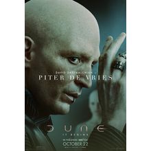 Dune (2021)_13 Movie Film Poster Canvas iconic design