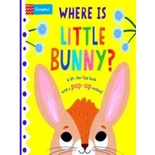 Where is Little 1: Where is Little Bunny?