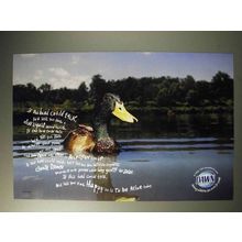 2002 Dawn Liquid Dish Detergent Ad - If Bird Could Talk