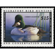 RW80, $15.00 2013 Common Goldeneye Federal Duck Stamp VF NH - Stuart Katz