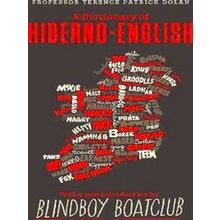 A Dictionary Of Hiberno English