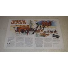 1989 Lands' End Fashion Ad - On these pages Lands' End pays tribute