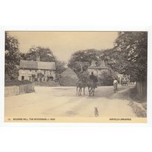 The Woodman Pub Bourne Hill Enfield Libraries Reproduction Postcard 12
