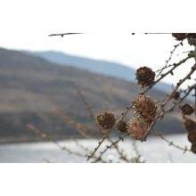 Spring 11 Poster Canvas Movie Film Print A0 A1 A2 A3 A4 A5 A6 Art Wall Decoratio