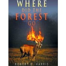 Where Did The Forest Go