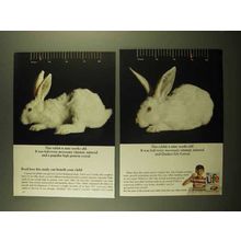 1965 Life Cereal Ad - This Rabbit Is Nine Weeks Old