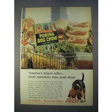1966 Purina Dog Chow Ad - America's Largest Seller