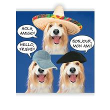 Hello Friend! - Hello Greeting Card - 00789