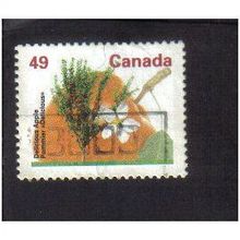 1991 canada deliicious apple tree 49c f/u sg1468