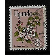 UGANDA 1969 FLOWES 70c CARISSA EDULIS SG 139 FINE USED#