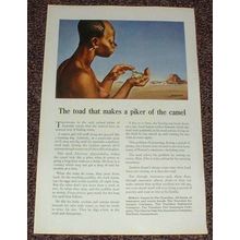 1946 Travelers Insurance Ad, Toad makes Piker of Camel!