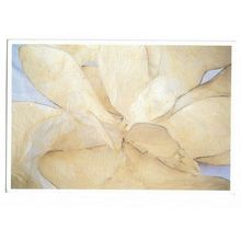 Keiko Yamamoto, Flower, C & G Art School Exhibition, Art Postcard.