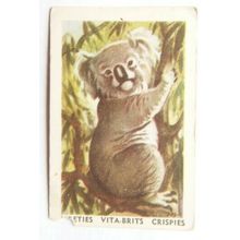 Australian Vitabrits Weeties Animals of World 37 Koala