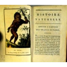 Histoire Naturelle Tome Douzieme