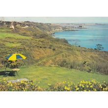 Guiness Umbrella at Guernsey 1960s Postcard