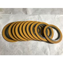 NEW lot of 10 Garlock Flex Seals 3" 3-4-600 asme B 16.20, 300,AG