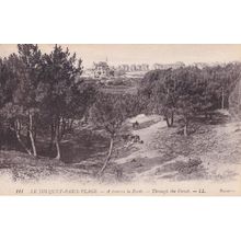 Le Torquet Paris Plage A Travers La Foret Antique French Postcard