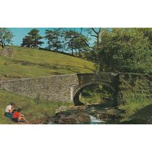 Picnic at Goyts Bridge Derby 1970s Postcard