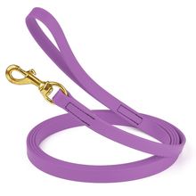 Dog Pet Leash Amethyst Purple w/ Brass Hardware W 3/4" - L20'