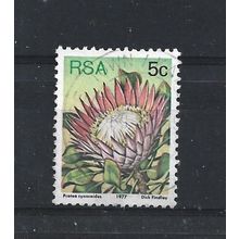 SouthAfrica.SG418 5c Protea Cynaroides.Fine Used.Sep25o