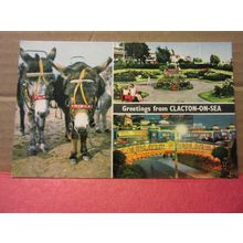 multiview, CLACTON-ON-SEA, ESSEX. unused postcard by Constance A 5/26 donkeys =