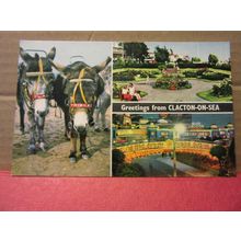 multiview, CLACTON-ON-SEA, ESSEX. unused postcard by Constance A 5/26 donkeys