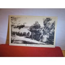 DANS LES PINS, MORGAT, France unused antique postcard =