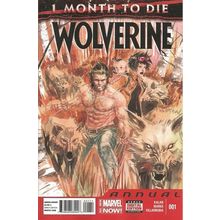 Wolverine Annual (2014) # 001 NM MODERN AGE COMICS