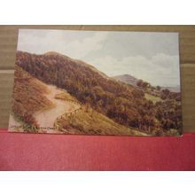 JUBILEE DRIVE & BRITISH CAMP, MALVERN by A R Quinton unused postcard by Salmon /