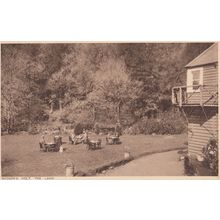 Badgers Holt The Lawn Food Dartmoor 1929 Visitor Postcard