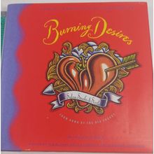 Burning Desires-El Paso by W. Park Kerr (1994, Hardcover/dust jacket good