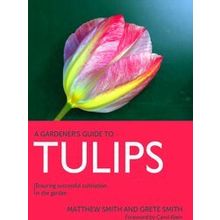 A Gardener's Guide To Tulips
