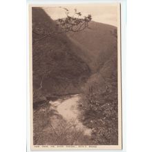 View from the River Rheidol Devil's Bridge Cardiganshire Postcard DBI