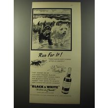 1953 Black & White Scotch Ad - Run for it!