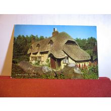 NEW FOREST COTTAGE used postcard by J. Salmon 1966 pm =