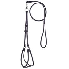 Dog Pet Leather Round Step-In Harness/Lead W1/4" x G11"-15" x L48"- Black