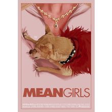 mean girl 4 Poster Canvas Movie Film Print A0 A1 A2 A3 A4 A5 A6 Art Wall Decorat