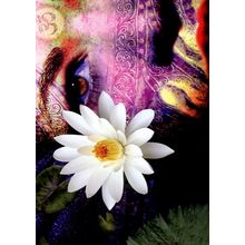 Full Moon Lakshmi - Tree Free Greeting Card - 14118