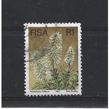 SouthAfrica.SG429 1r Paranomus Reflexus.Fine Used.Sep25b