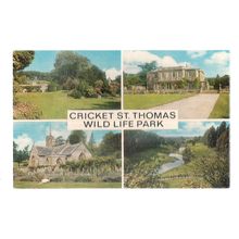 CRICKET ST. THOMAS WILD LIFE PARK, nr Chard, SOMERSET used vintage postcard. #