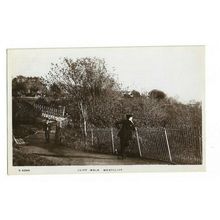 Cliff Walk, Westcliff On Sea, Kingsway RP Postcard.