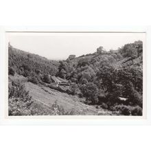 Cockercombe Postcard RP Somerset Publisher H H Hole