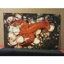 ATLANTIC COAST LOBSTER, NEW ENGLAND, USA unused postcard =
