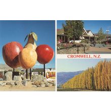 Cromwell Shopping Mall New Zealand Postcard