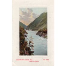 Makawaku Gorge New Zealand Antique Postcard