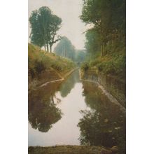 Kings Reach Coates Sussex 1970s Postcard