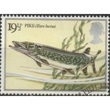 Great Britain 1983 British River Fishes 19½p Northern Pike Used SG 1208 stamp
