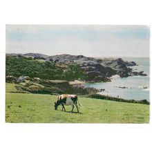 LEE LOOKING WEST, LYNTON , DEVON unused vintage postcard by Frith =
